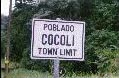 Cocoli sign