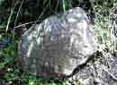 Petroglyph<BR>on rock